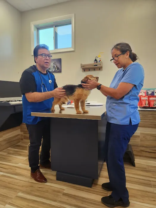 Durham Veterinary Hospital 12