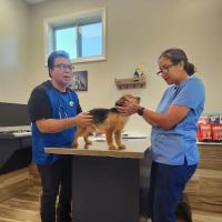 Durham Veterinary Hospital ico