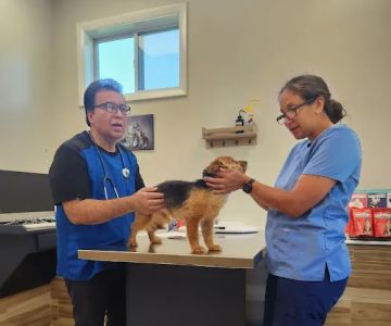 Durham Veterinary Hospital