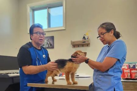 Durham Veterinary Hospital