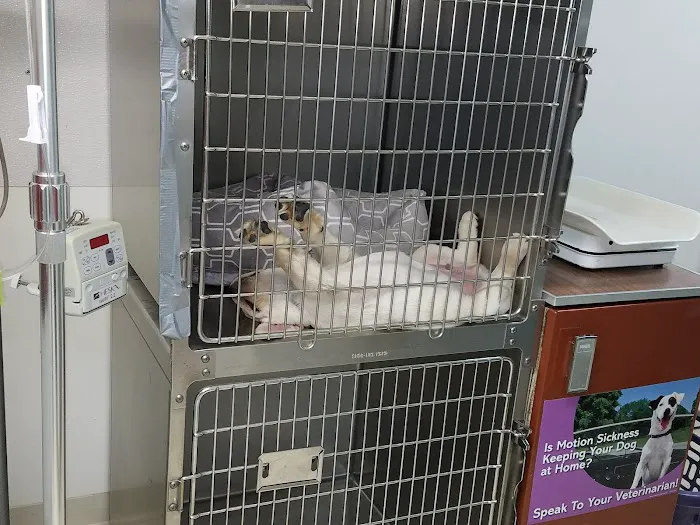 Marlborough Animal Hospital 12