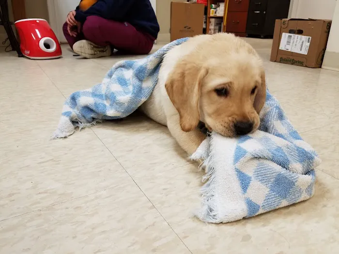 Marlborough Animal Hospital 12