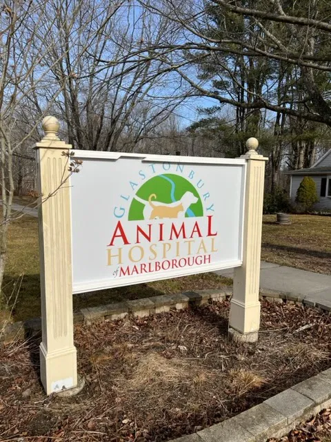 Glastonbury Animal Hospital of Marlborough 12
