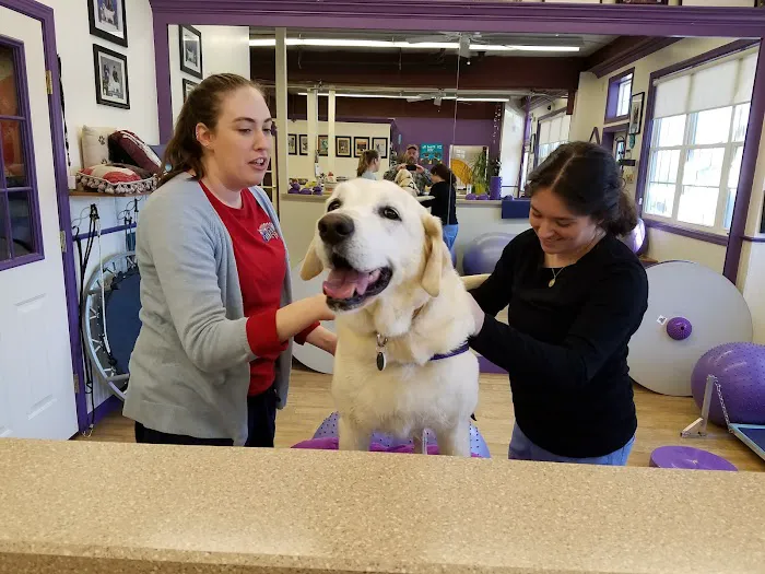 Wizard of Paws Physical Rehab 12