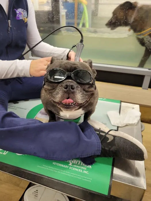 Wizard of Paws Physical Rehab 12
