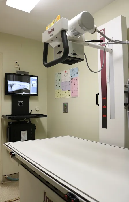 VCA Animal Hospital of East Hartford 12