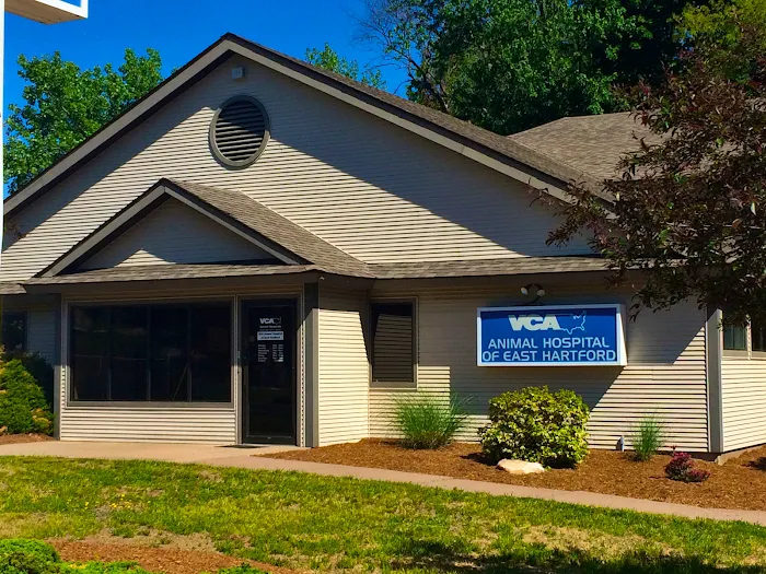 VCA Animal Hospital of East Hartford 12