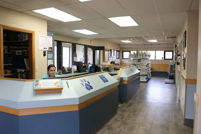 VCA Animal Hospital of East Hartford 12