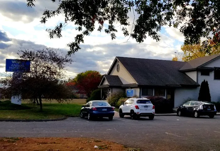 VCA Animal Hospital of East Hartford 12