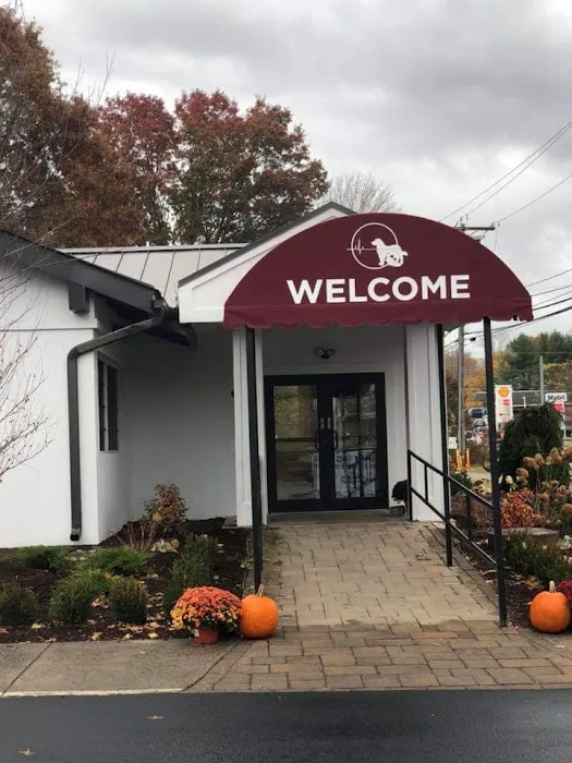 Central Hospital For Veterinary Medicine- Guilford 12