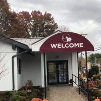 Central Hospital For Veterinary Medicine- Guilford ico