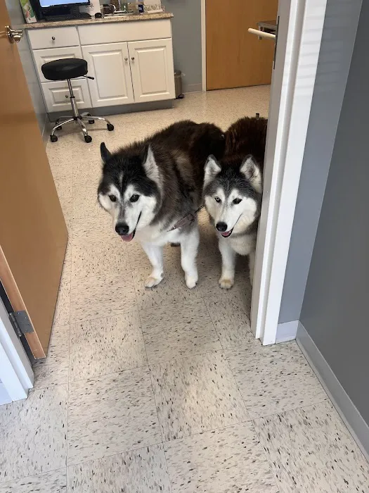 Pieper Veterinary 7