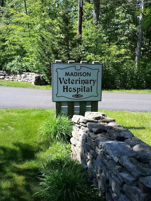 Madison Veterinary Hospital 12