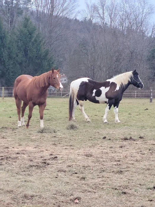 Leatherstocking Equine Center 12