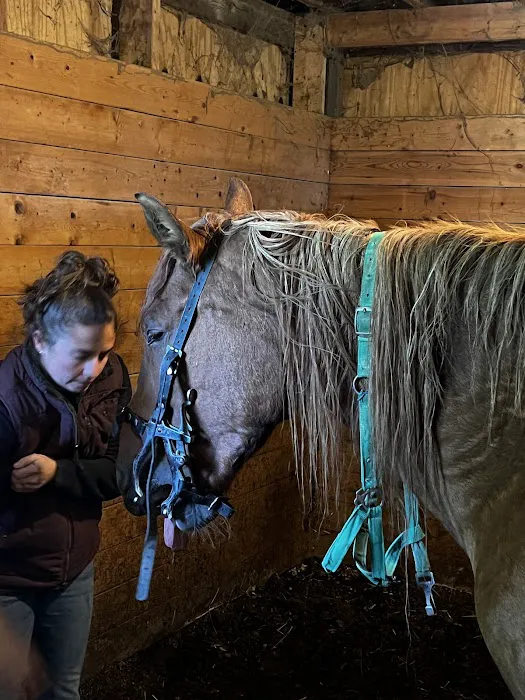 Leatherstocking Equine Center 12