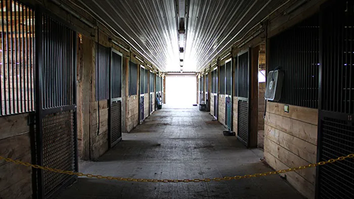 Leatherstocking Equine Center 12