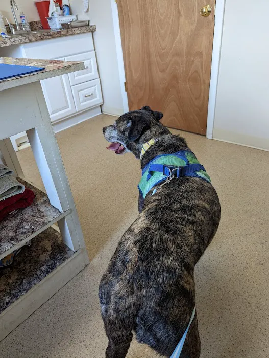 New Berlin Veterinary Clinic 7