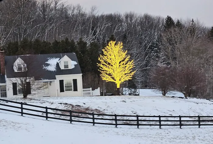 Heritage Veterinary Clinic 4