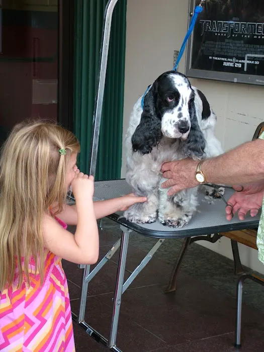 VCA Hamilton Animal Hospital 10