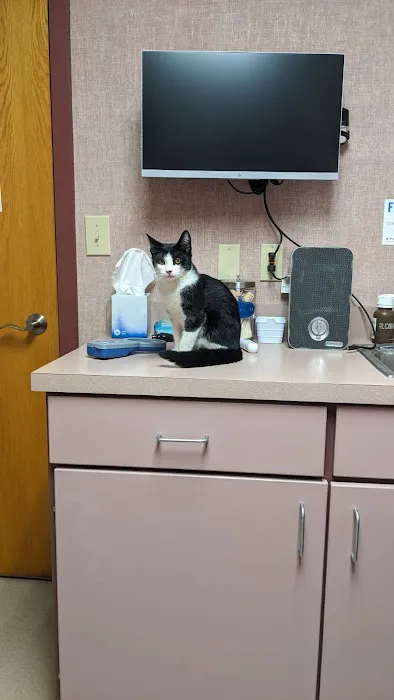 VCA Hamilton Animal Hospital 9