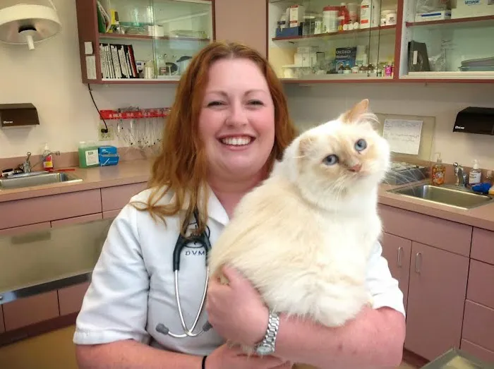 VCA Hamilton Animal Hospital 5