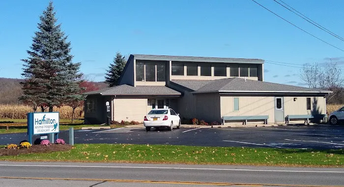 VCA Hamilton Animal Hospital 2