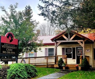 Arkville Veterinary Care