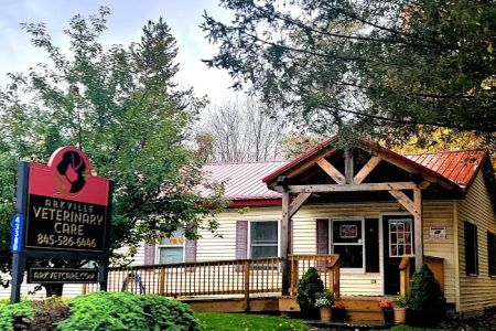 Arkville Veterinary Care