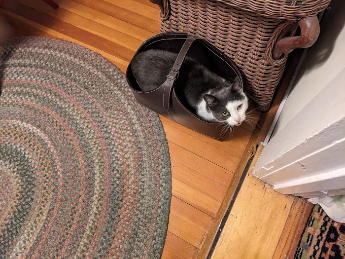 Arkville Veterinary Care 12