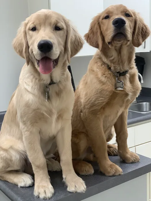 Dabney Drive Animal Hospital 4