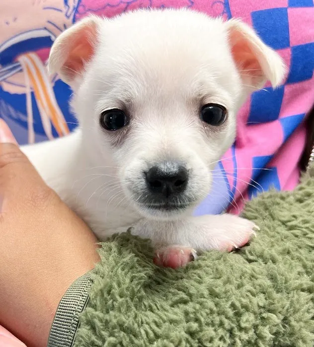 West Hills Veterinary Centre 5