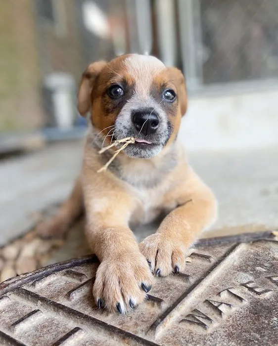 West Hills Veterinary Centre 3