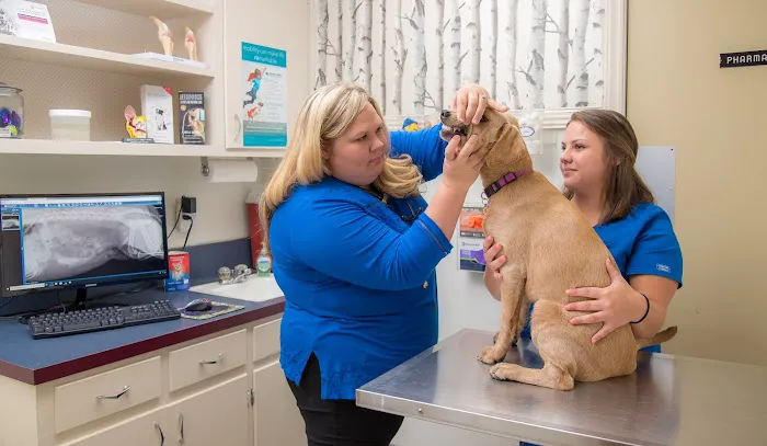 West Hills Veterinary Centre 2