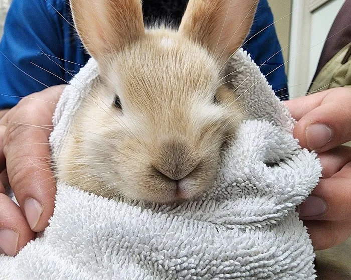 West Hills Veterinary Centre 4