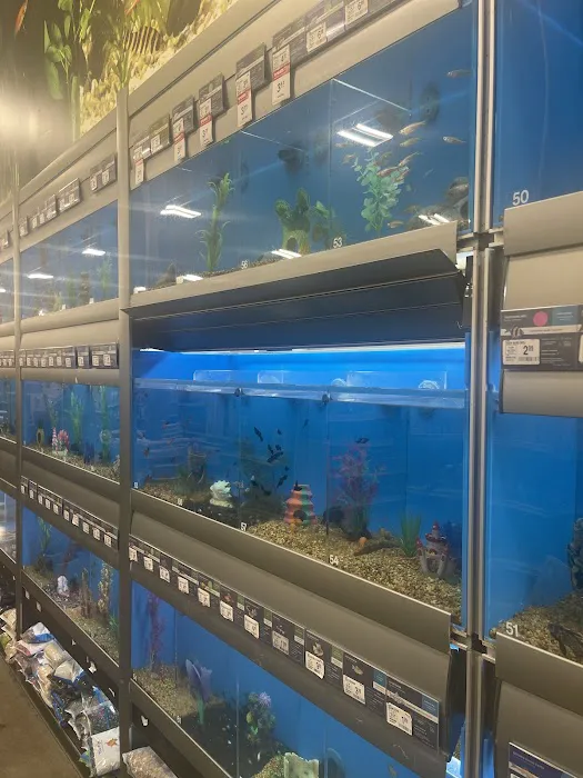 Petco 3