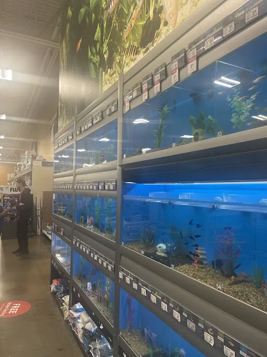 Petco 10