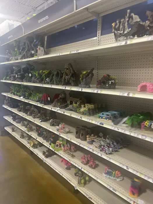 Petco 7