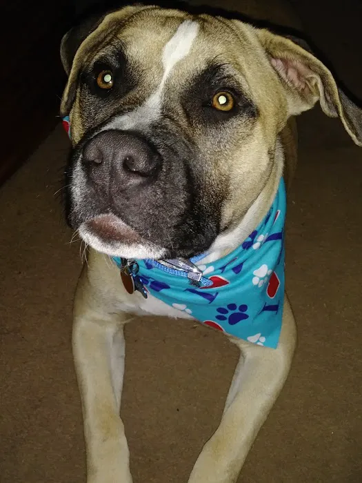 Petco 2