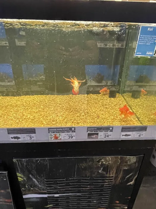 Petco 4