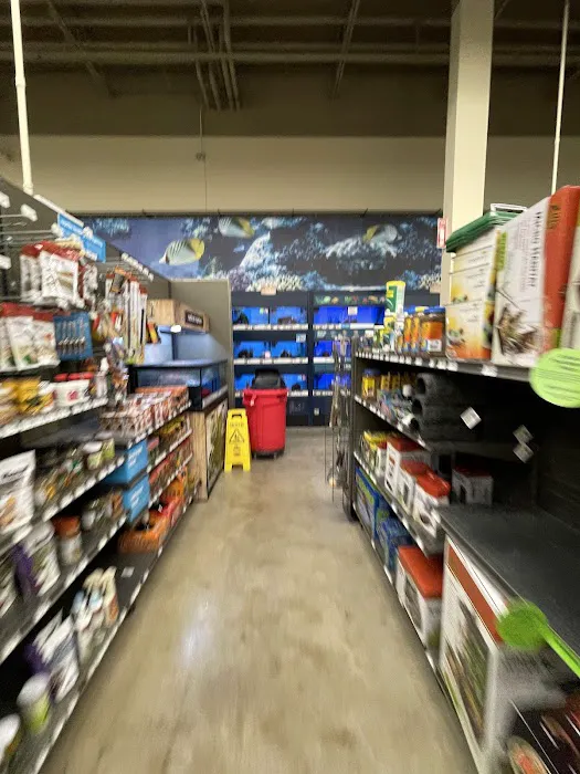 Petco 5