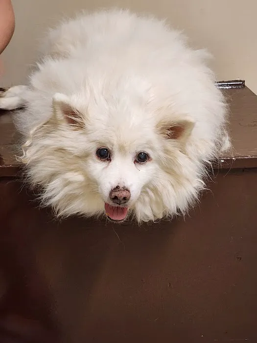 Tabbs Creek Animal Hospital 12