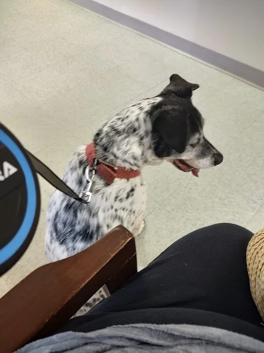 Tabbs Creek Animal Hospital 12