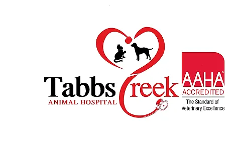 Tabbs Creek Animal Hospital 12