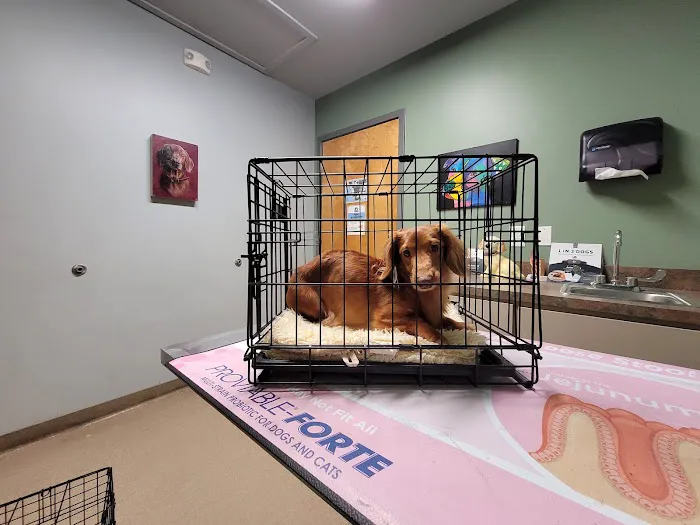 Oxford Veterinary Hospital 12