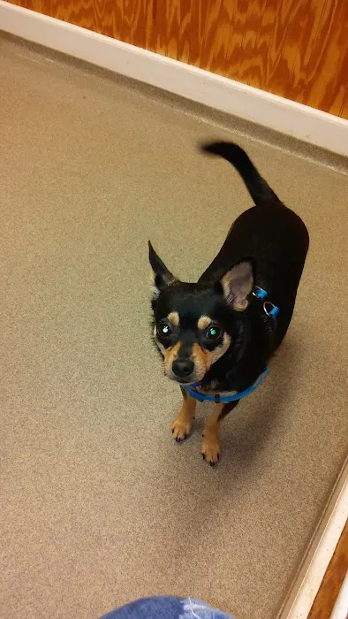 Warrenton Animal Clinic 4