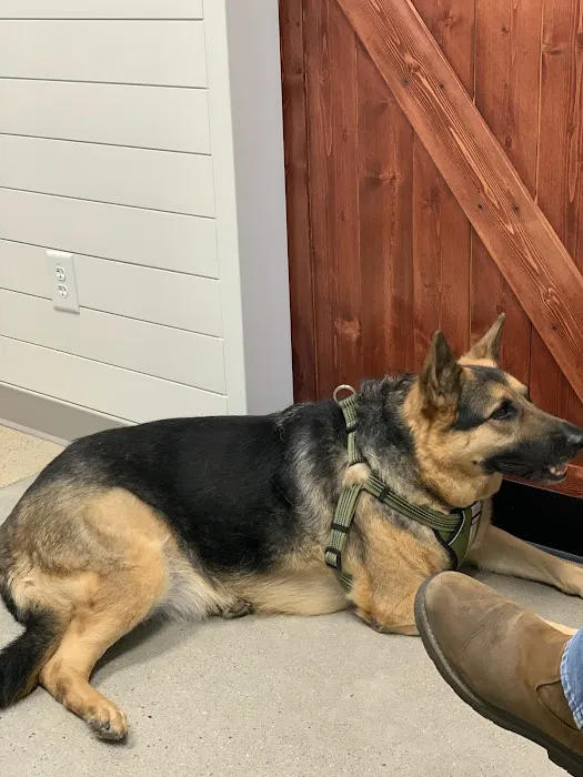 Warrenton Animal Clinic 2