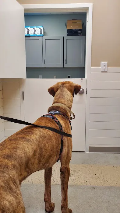 Warrenton Animal Clinic 8