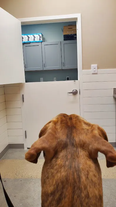Warrenton Animal Clinic 9