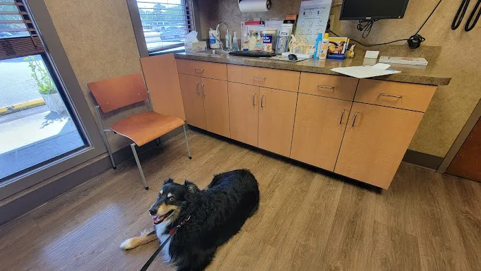 East Carolina Veterinary Service 4