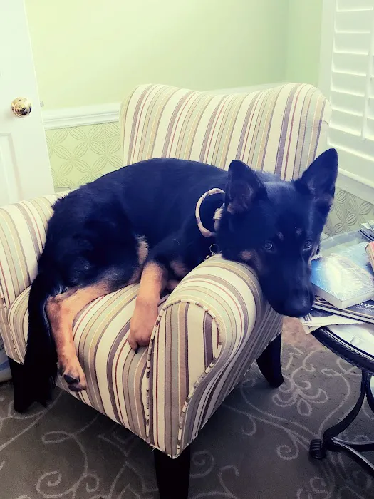 Animal Care of Greenville 8